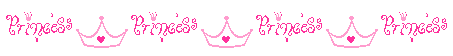 princessbanner.gif